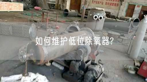 如何維護(hù)低位除氧器?