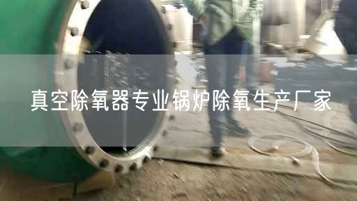 真空除氧器遙遙鍋爐除氧生產(chǎn)廠家